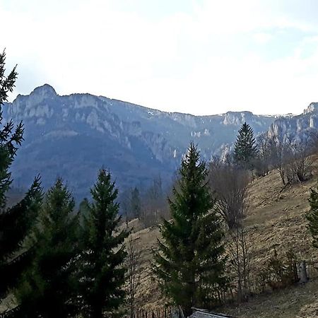 Pensiunea Bobu Hotel Izvoru Muntelui Bagian luar foto