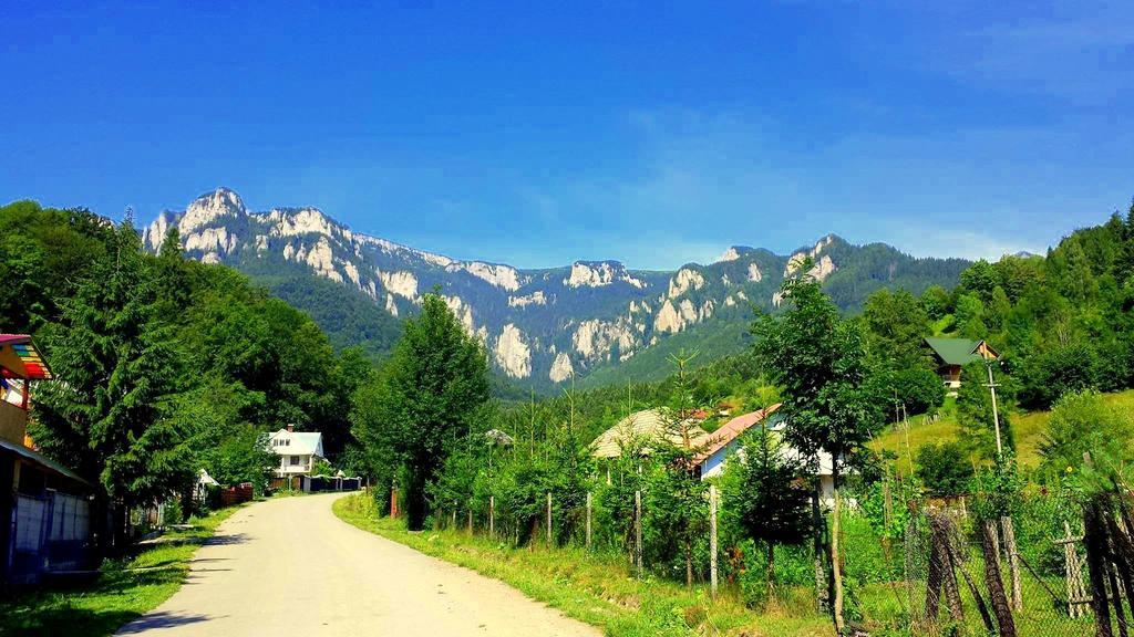 Pensiunea Bobu Hotel Izvoru Muntelui Bagian luar foto