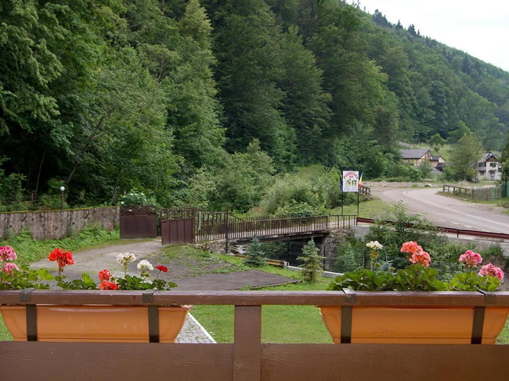 Pensiunea Bobu Hotel Izvoru Muntelui Bagian luar foto
