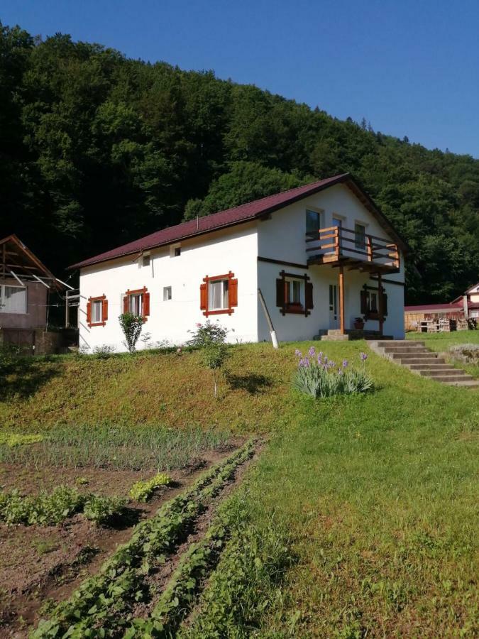 Pensiunea Bobu Hotel Izvoru Muntelui Bagian luar foto