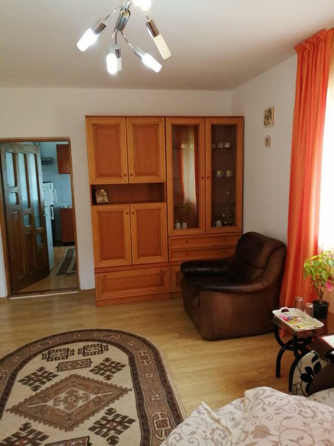 Pensiunea Bobu Hotel Izvoru Muntelui Bagian luar foto